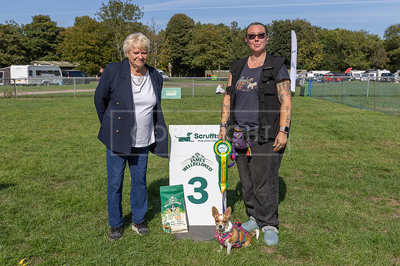 Scruffts Detling Heat 20th Sept 2026-155