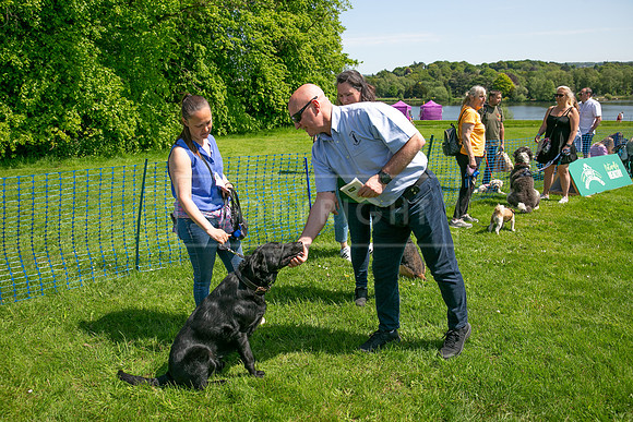 Scruffts at Trentham Park 21st May 2023-09