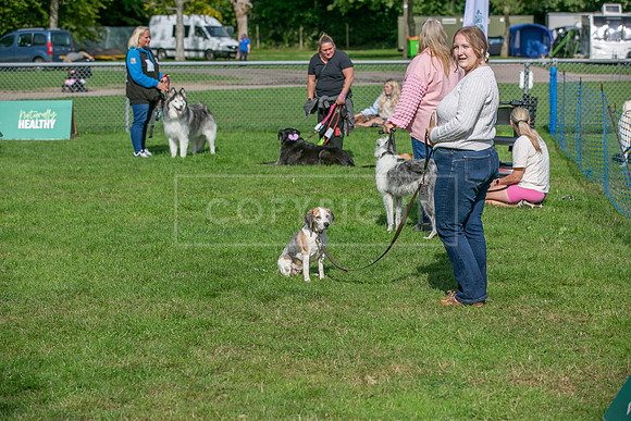 Scruffts Detling Heat 20th Sept 2026-106