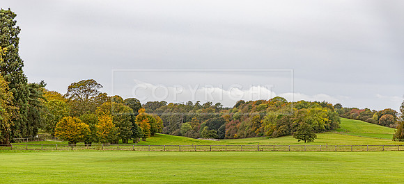 Hovingham Hall Sim-038