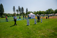 Scruffts at Trentham Park 21st May 2023-05