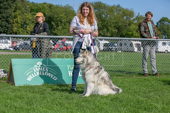 Scruffts Detling Heat 20th Sept 2026-080