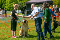 Scruffts @ Trentham Park 21st May 2023-74