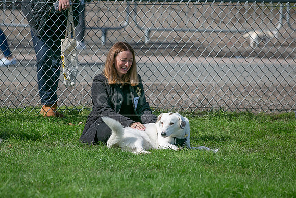 Scruffts Detling Heat 20th Sept 2026-090