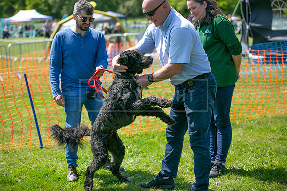 Scruffts at Trentham Park 21st May 2023-14