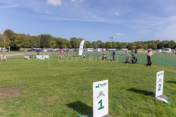 Scruffts Detling Heat 20th Sept 2026-069
