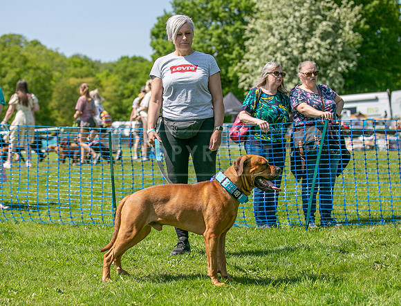 Scruffts at Trentham Park 21st May 2023-06