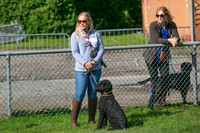 Scruffts Detling Heat 20th Sept 2026-007