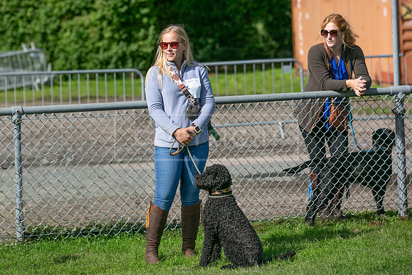 Scruffts Detling Heat 20th Sept 2026-007