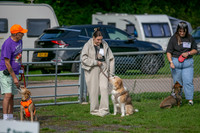 Scruffts Detling Heat 20th Sept 2026-004