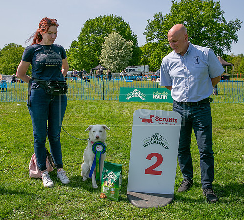 Scruffts at Trentham Park 21st May 2023-70