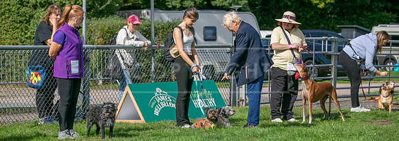 Scruffts Detling Heat 20th Sept 2026-105
