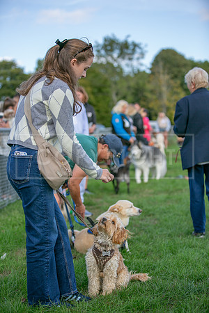 Scruffts Detling Heat 20th Sept 2026-010