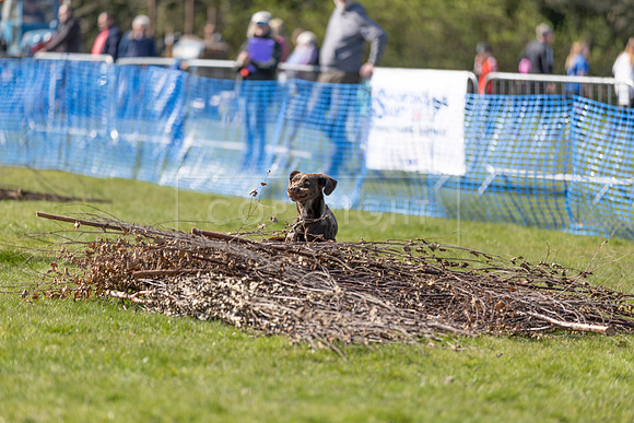 Thoresby Sun 30th Mar 25-261