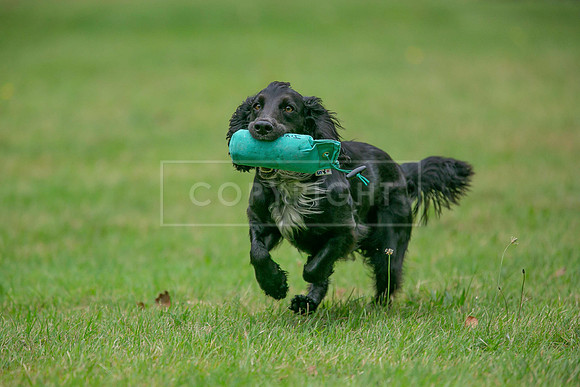 Jixenwell Scurry Challenge Final 2024-0269