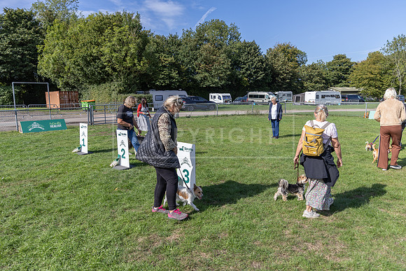 Scruffts Detling Heat 20th Sept 2026-147