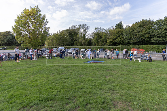 Scruffts Detling Heat 20th Sept 2026-009