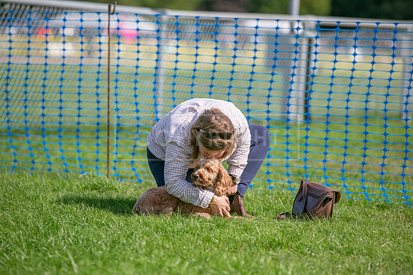 Scruffts Detling Heat 20th Sept 2026-084