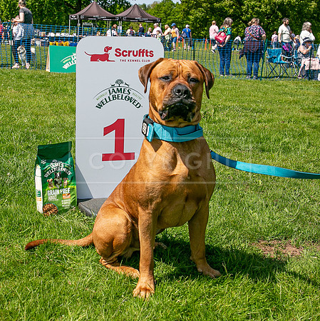 Scruffts at Trentham Park 21st May 2023-18