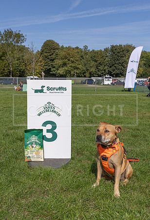 Scruffts Detling Heat 20th Sept 2026-133