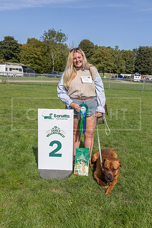 Scruffts Detling Heat 20th Sept 2026-045