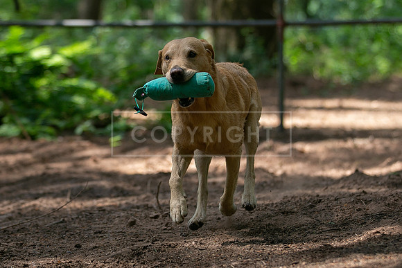 Capesthorne Hall Friday 16th June 2023-072