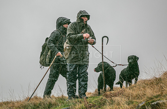 Cocker Championship 2023 -288