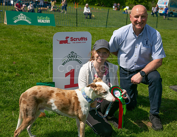 Scruffts at Trentham Park 21st May 2023-59