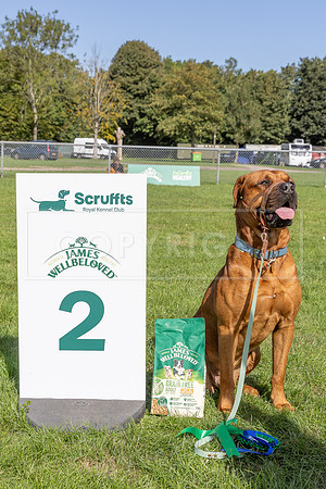 Scruffts Detling Heat 20th Sept 2026-047