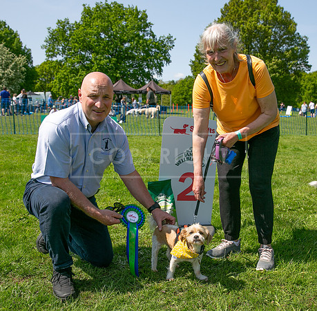 Scruffts at Trentham Park 21st May 2023-61