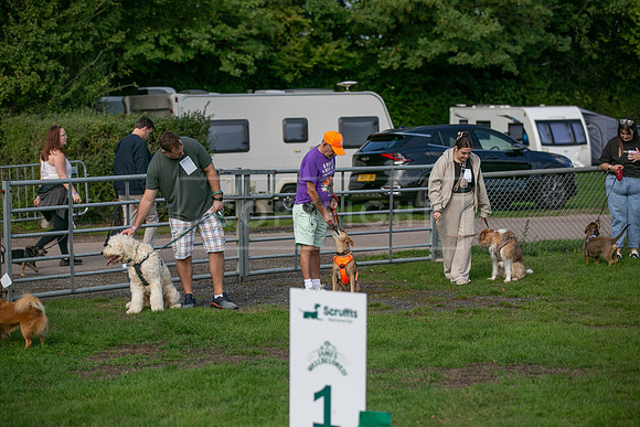 Scruffts Detling Heat 20th Sept 2026-002