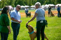 Scruffts at Trentham Park 21st May 2023-12