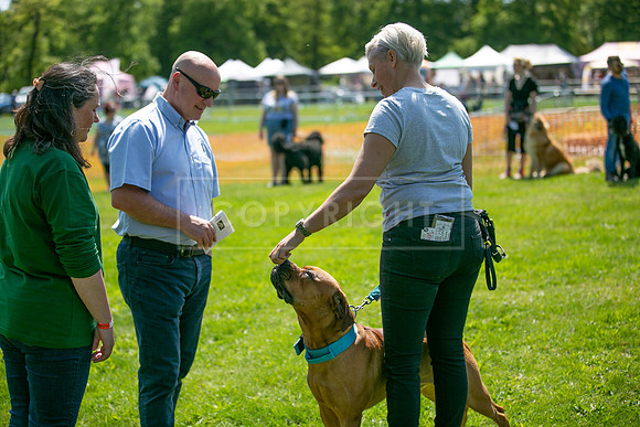 Scruffts at Trentham Park 21st May 2023-12