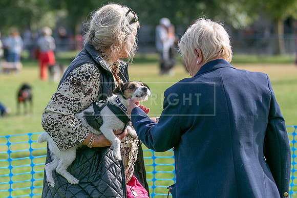 Scruffts Detling Heat 20th Sept 2026-086