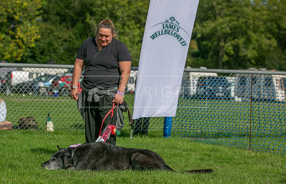 Scruffts Detling Heat 20th Sept 2026-114