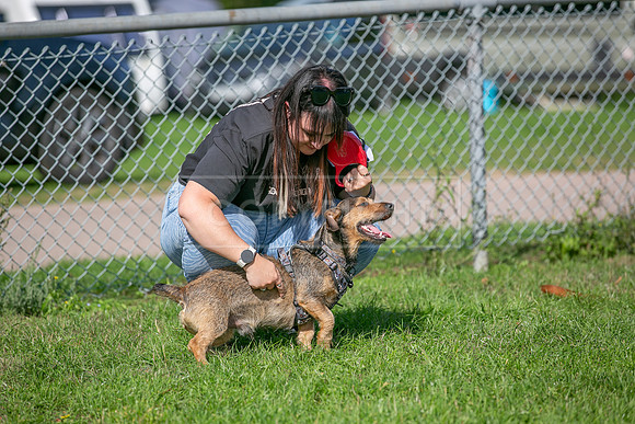 Scruffts Detling Heat 20th Sept 2026-028