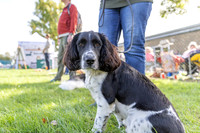 Scruffts Detling Heat 20th Sept 2026-015