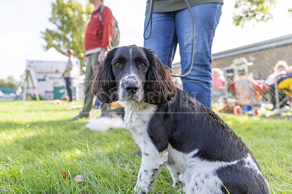 Scruffts Detling Heat 20th Sept 2026-015