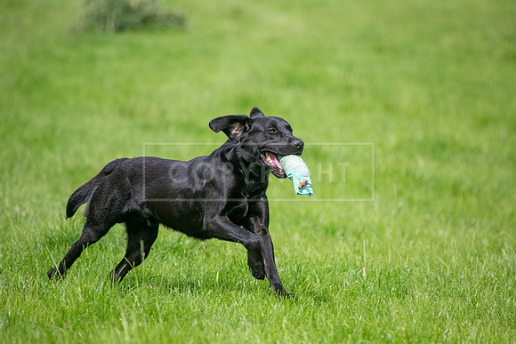 Int Retriever Day 1 -205
