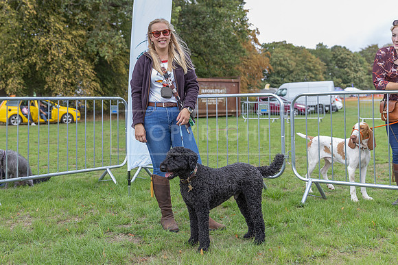 Scruffts Family Crossbreed of the Year competition. Knebworth Park. 13th September 2026-200