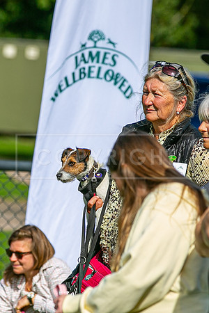 Scruffts Detling Heat 20th Sept 2026-091