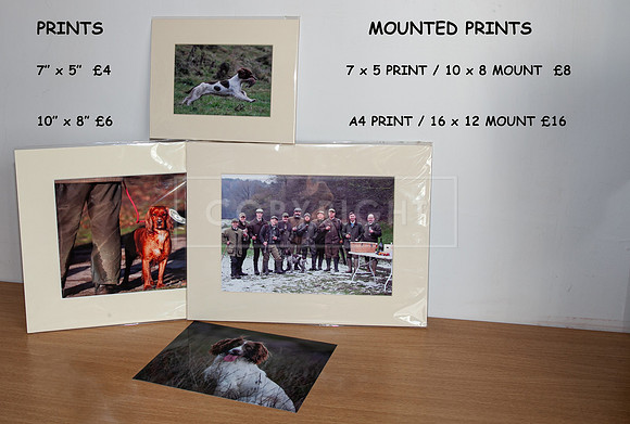 Z2 Prints