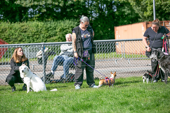 Scruffts Detling Heat 20th Sept 2026-054