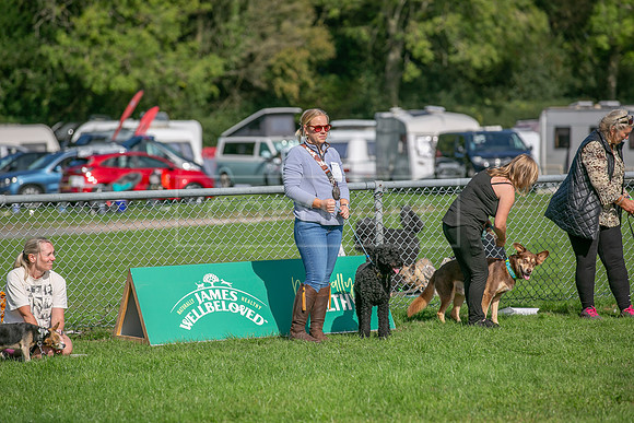 Scruffts Detling Heat 20th Sept 2026-146