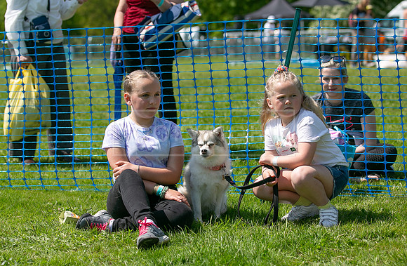Scruffts at Trentham Park 21st May 2023-29