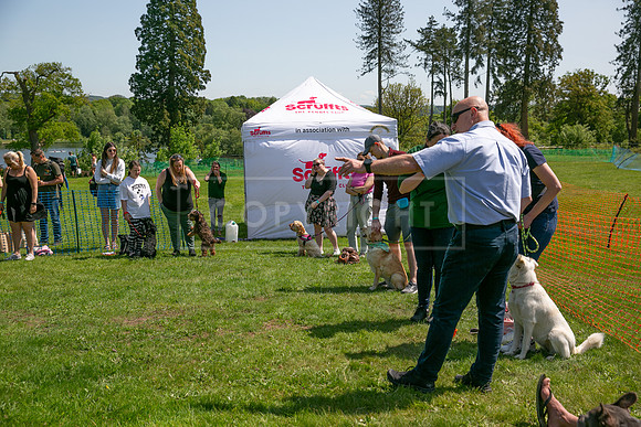 Scruffts at Trentham Park 21st May 2023-36