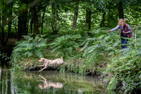 Capesthorne Hall Saturday 17th June 2023-161