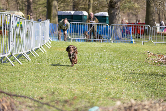 Thoresby Sun 30th Mar 25-219