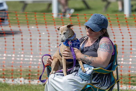 Scruffts heat @ Wadebridge 13th July 2025-120