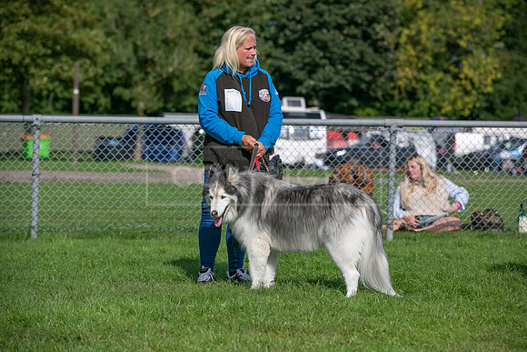 Scruffts Detling Heat 20th Sept 2026-115